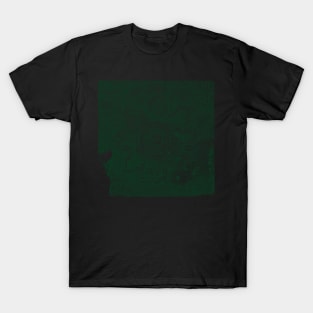 Broken Cracked Medieval Floral Stone Tile Pattern Dark Green Version T-Shirt